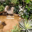 합성동312 | 창원 합성동 신월동 대형야자수 실내분수조경 실내조경 확실한 시공 원하시면 그린지대 추천해요