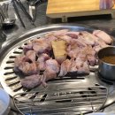 섬돼지 이미지