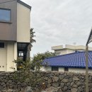 퐁낭아래 | 제주도 애월 숙소 추천,감성 독채 스테이 [퐁낭아래1978] 내돈내산 후기