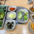 산애들