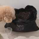 고양이 강아지 냄새 제거 탄화코르크 내돈내산 사용후기