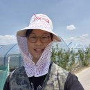 우성농장 | [청년농부사관학교] EP 3. 13기 토마토 반 3주 차