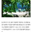 황제능이버섯백숙 - 문경시 | 황제능이버섯백숙