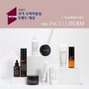 끌레르 인셀덤 네이버블로그
