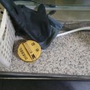 뉴시티동해항주유소 이미지