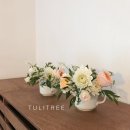 튤리트리