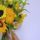 서브힐링 이미지