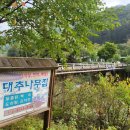 대추나무민박 이미지