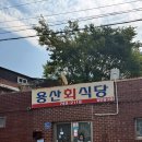 회밥원조회식당 | 경주 용산회식당 여름 회밥 내돈내산 후기 혼밥 주차장 가격 웨이팅 수제초장 포장