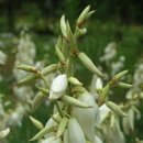 방아공원 이미지