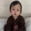 꼰띠고2 이미지