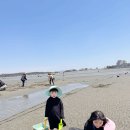 태안오토캠핑장 갯벌체험 가능한 도담오토캠핑장 B12 후기