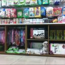 노룬산동물병원 이미지