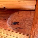 통나무숲속마을 이미지