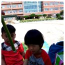 죽림초교병설유치원 이미지