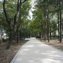 학여울길 이미지