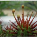 송정하우스 이미지