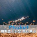 가고싶은 바다섬호텔 | 푸켓 피피섬투어 빅보트 프리다이빙 스노클링 해양 액티비티 후기 할인정보