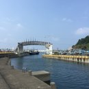 제주365
