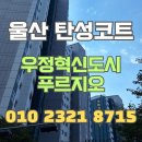 주식회사 우정 | 울산 탄성코트 우정혁신도시푸르지오 베란다 벽체 하자보수까지 쾌적한 시공
