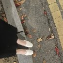 더로앤 | [더로앤] 발편한 플랫슈즈 더로앤 착화감좋은 신발추천