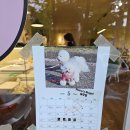 포코스베이글 | 내돈내산) 강원 속초 베이글 로컬 맛집 &#39;포코스 베이글&#39; 후기