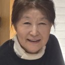해초록 이미지