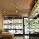 화이트펫# 이미지