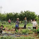 행복한 도시농부