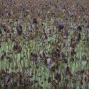 무무산방 이미지