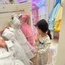 샤론유치원 | 샤론캣 : 공주님들의 필수 코스 / 비싸도 한번쯤은 특별한 기억으로! 하지만 나는 재방문이지 ㅋ