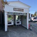 와우 동물농장 | 제주공항근처카페 추천 제주 아이랑 가볼만한곳 아침미소목장 체험 후기