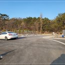 원조버섯마을 이미지