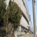 금강산불가마사우나 이미지