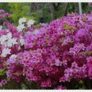 붓내공원 이미지