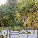 순환로 405번길 이미지