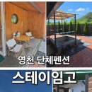 스테이임고