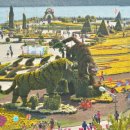 가고파플라워 이미지