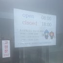 여행] 울릉도 백패킹 3박4일 - 2일차 : 커피밴, 스노쿨링, 통발 포인트, 해오름펜션, 칡소불고기, 노을명소