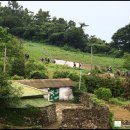 유람선선착장2 이미지