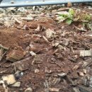 오가네농장 이미지