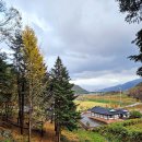 형제송입구 이미지