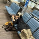 현동목장 | 나트랑 여행 기록..^*^