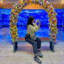 (주)제주동락여행사 | 제주도 미니버스 대절 렌트 겨울 단체여행 코스 추천