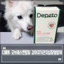 코아덴탈 | 강아지 기관지협착증 심장 질환 증상 예방, 강아지 심장 기관지 영양제 급여 후기