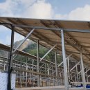 대박 태양광발전소 이미지