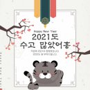 영어회화 왕초보 이미지