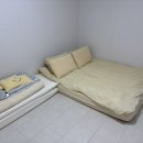 사라보래 이미지