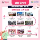 배스킨라빈스진해 - 창원시 진해구 진해대로776번길 29 | 배스킨라빈스진해