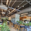 낭만 낙곱새 이미지